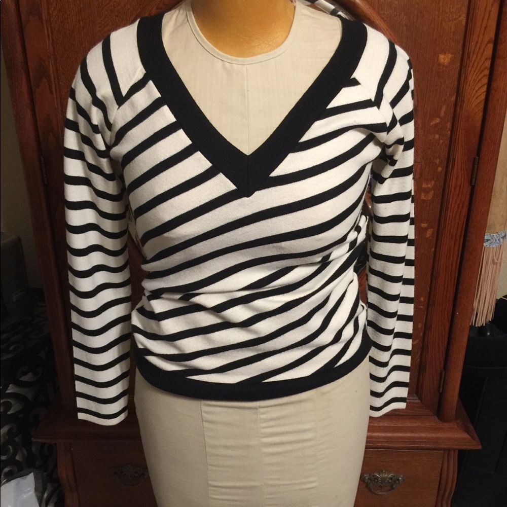 Sharagano V-Neck Sweater